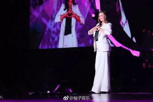 会中文 明星,揭秘会中文的明星风采